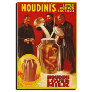 Houdini Loved Milk